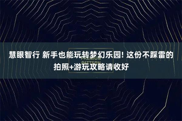 慧眼智行 新手也能玩转梦幻乐园! 这份不踩雷的拍照+游玩攻略请收好