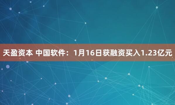 天盈资本 中国软件：1月16日获融资买入1.23亿元